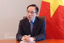 Minister of Foreign Affairs Le Hoai Trung (Photo: VNA)