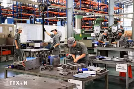 A factory of Toan Cau Mechanical Engineering Company in Giang Dien Industrial Park, Dong Nai city (Photo: VNA)