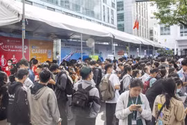 Labourers at a job fair held in HCM City (Photo: VNA)