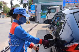 A worker pumps E10 petrol into a vehicle at Tran Phu filling station in Nghia Lo ward, Quang Ngai province. (Photo: VNA)