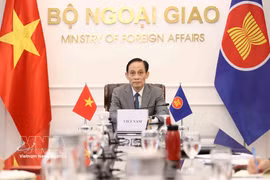 Politburo member and Minister of Foreign Affairs Le Hoai Trung speaks at the meeting (Photo: VNA)