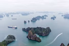 A stunning view of Ha Long Bay in Quang Ninh province. (Photo: VNA) 