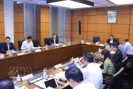 The delegation of National Assembly deputies from Ho Chi Minh City holds a group discussion. (Photo: VNA)