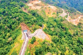 Forest development in Phan Son commune, Lam Dong province. (Photo: nhandan.vn)