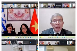 Delegates join the online meeting connecting the Federation of Industries of Greece with the Vietnam Timber and Forest Products Association. (Photo: VNA)