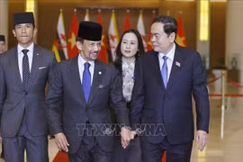 Chairman of the National Assembly Tran Thanh Man (1st from right) and Sultan of Brunei Haji Hassanal Bolkiah in Hanoi on December 1. (Photo: VNA)