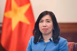 Deputy Minister of Foreign Affairs Le Thi Thu Hang (Photo: VNA)