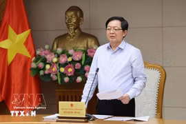 Deputy Prime Minister Ho Quoc Dung addresses the meeting on April 23. (Photo: VNA)