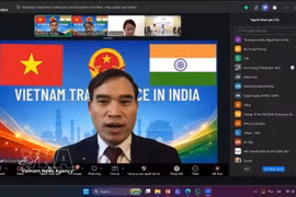 Vietnamese Trade Counsellor to India Bui Trung Thuong addresses the online seminar. (Photo: VNA)