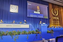 Nguyen Hoang Linh, Director of the Vietnam Agency for Radiation and Nuclear Safety, delivers Vietnam’s national statement at the plenary sitting of the 70th Regular Session of the IAEA General Conference in Austria. (Photo published by VNA)