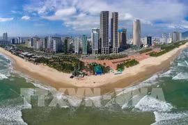 Da Nang has been the innovation-driven hub of the central region. (Photo: VNA)