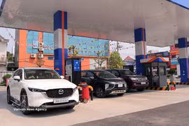 Fuel pumps at a retail gas station in Thanh Sen ward, Ha Tinh province (Photo: VNA)