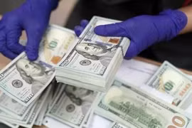 The daily reference exchange rate for the US dollar is set at 24,982 VND/USD on June 11. (Photo: VNA)