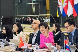 Permanent Representative of Vietnam to ASEAN Ambassador Ton Thi Ngoc Huong (second from right) chairs the meeting (Photo: VNA)