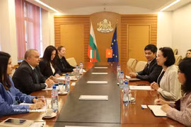 An overview of the meeting (Photo: VNA)