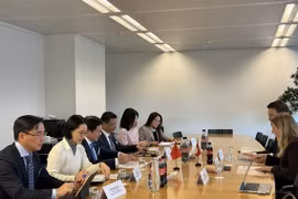 The Vietnamese delegation and representatives of Switzerland discuss key issues during the 19th round of negotiations for the Free Trade Agreement (FTA) between Vietnam and the European Free Trade Association. (Photo: VNA)