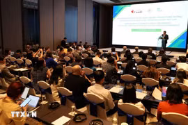 The Impact Investment Connect: Capital for Growth Forum is held in Ho Chi Minh City on March 10. (Photo: VNA)