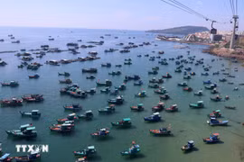 Vietnam advocates sustainable development of its marine economy and aims to maintain the sustainable growth of the fisheries sector with a fleet structure and fishing methods aligned with the aquatic resource exploitation capacity. (Photo: VNA)