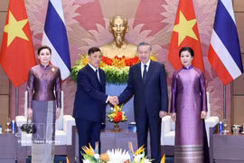 Vietnam attaches great importance to comprehensive cooperation with Thailand: Top leader