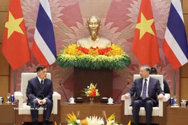 General Secretary of the Communist Party of Vietnam Central Committee and President To Lam (R) and King of Thailand Maha Vajiralongkorn Phra Vajiraklaochaoyuhua at their talks in Hanoi on September 15, 2026. (Photo: VNA)