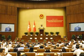 Party General Secretary and State President To Lam addresses the national conference disseminating and implementing Politburo Resolution No. 06-NQ/TW (Photo: VNA)