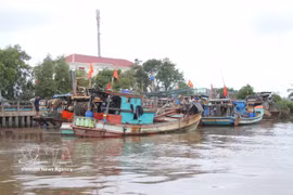 Boats are anchored at the Ganh Hao estuary in Ganh Hao commune, Ca Mau province. (Photo: VNA)