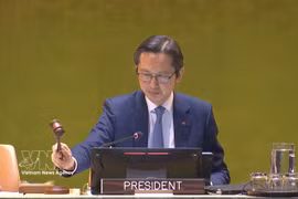 Vietnamese Ambassador Do Hung Viet delivers a closing speech (Photo: VNA)