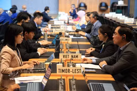 Members of Vietnam’s Permanent Mission and other countries' missions in Geneva take part in Japan’s 16th Trade Policy Review (TPR) session. (Photo: VNA)