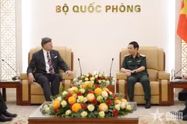 Deputy Prime Minister and Minister of National Defence General Phan Van Giang (R) and US Deputy Secretary of State Christopher Landau at their meeting in Hanoi on June 10. (Photo: qdnd.vn)