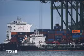 Cargo vessels in Singapore (Photo: Xinhua)