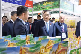 Deputy Prime Minister of the Government Pham Gia Tuc and the Vietnamese delegation visit the booths of Vietnamese businesses participating in the 23rd 23rd China-ASEAN Expo in 2026. (Photo: VNA)