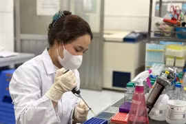 Nguyen Nhat Ly, a master’s student in biotechnology at the Vietnam National University, Hanoi’s VNU University of Science, conducts an experiment at the school lab. (Photo: VNA)