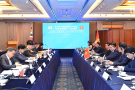The 15th meeting of the Vietnam-RoK Joint Committee on Trade, Industry and Energy Cooperation and the ninth meeting of the Vietnam-RoK Free Trade Agreement (FTA) Committee are held in Seoul on August 26. (Photo: VNA)