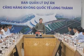 Deputy Prime Minister Tran Hong Ha speaks at the working session. (Photo: VNA)
