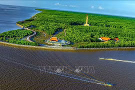 Marine economic development is set to become the main growth driver of Ca Mau province. (Photo: VNA)