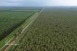 An aerial view of U Minh Ha National Park (Photo: VNA)