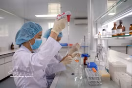 Researchers at the Institute of Vaccines and Medical Biologicals under the Ministry of Health conduct research and testing on vaccines. (Photo: VNA)