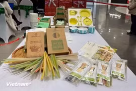 Recycling beverage packaging not only conserves resources, cuts emissions and improves the environment, but also provides valuable recycled materials for new production. (Photo: VietnamPlus)