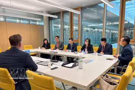 The Vietnamese Ministry of Public Security's delegation holds a discussion with representatives of the WIPO's Advisory Committee on Enforcement. (Photo: VNA)