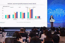 Tehmina Khan, the World Bank's Lead Economist for Vietnam, Cambodia and Laos, speaks at the event (Photo: VNA)