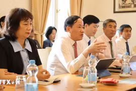 Vice Secretary of the Party Committee and Chairman of the People’s Committee of Gia Lai province Pham Anh Tuan speaks at a meeting with the Vietnamese Embassy in Germany (Photo: VNA)