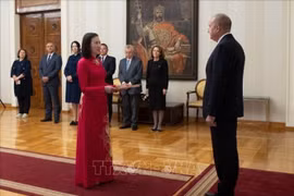 Vietnamese Ambassador to Bulgaria Nguyen Thi Minh Nguyet presents her credentials to Bulgarian President Rumen Radev. (Photo: VNA)