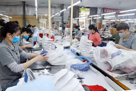 Workers make shoes for export to the EU market at Truong Xuan Shoe Company in Hanoi. (Photo: VNA)