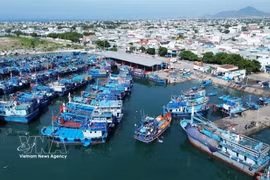 Fishing boats in Vietnam's Ninh Thuan province. (Illustrative photo: VNA)