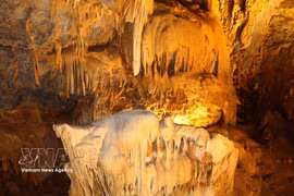 Ninh Binh brings archaeological heritage into tourism