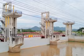 An Giang province closes the Tra Su Sluice to block flooding, helping downstream farmers complete harvest of their summer-autumn rice and begin sowing the autumn-winter crop on schedule. (Photo: VNA)