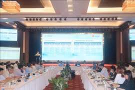 A representative from the project's management board briefs participants on its outcomes (Photo: VNA)
