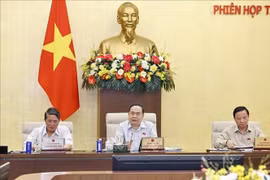 NA Chairman Tran Thanh Man (middle) speaks at the discussion. (Photo: VNA)