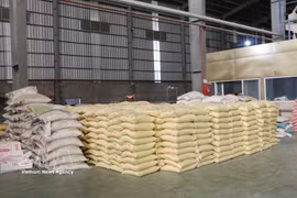 Can Tho yields about 3 million tonnes of rice each year (Photo: VNA)