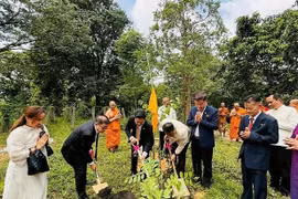 Delegates plant a commemorative tree to mark the 50th anniversary of diplomatic relations between Vietnam and Thailand as part of the ceremony inaugurating Hoa Nghiem Pagoda in Phu Luang district, Loei province, in northeastern Thailand. (Photo: baoquocte.vn)